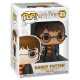 Funko Pop! Harry with Hedwig (Harry Potter)